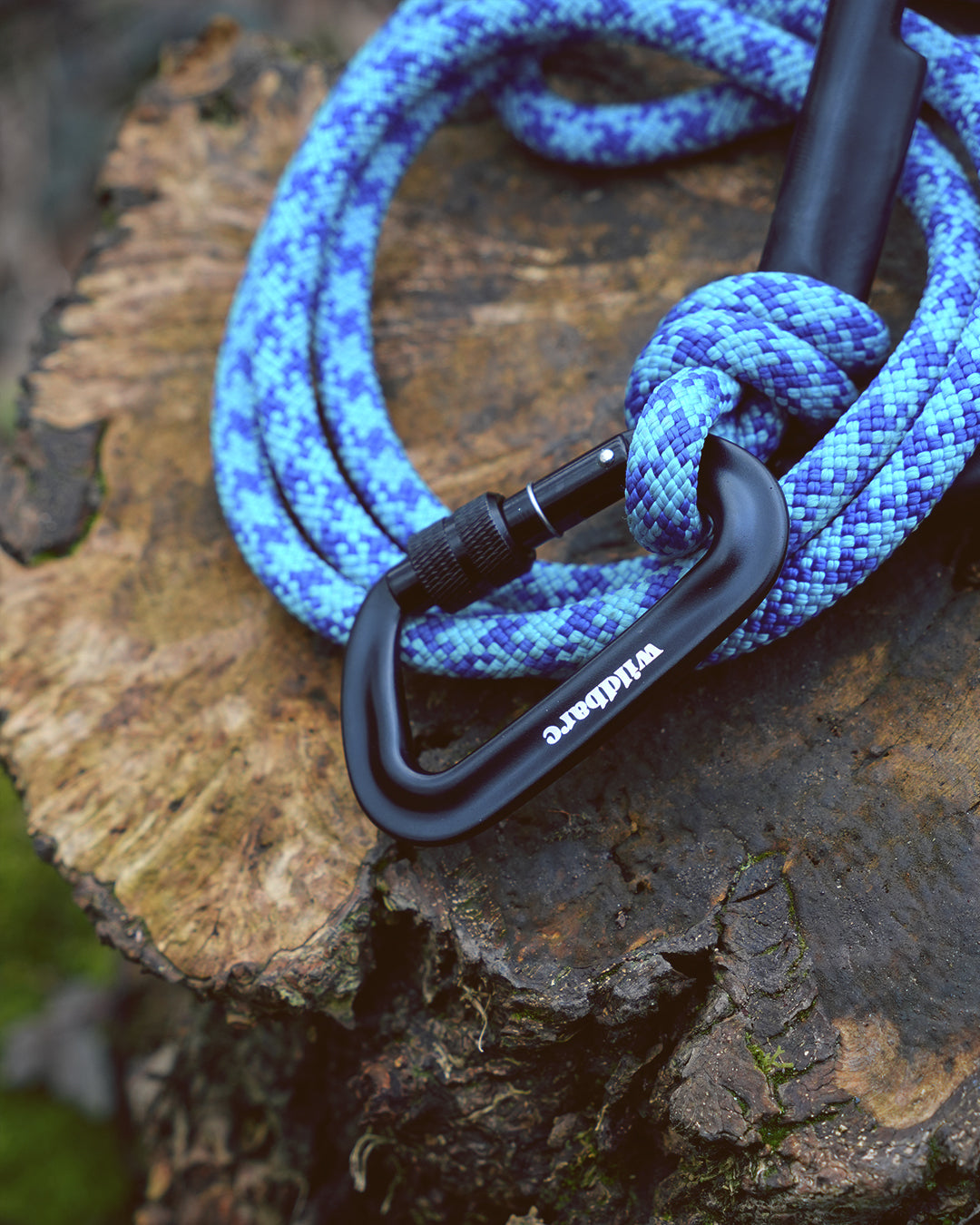 Arenig: Recycled Dog Lead