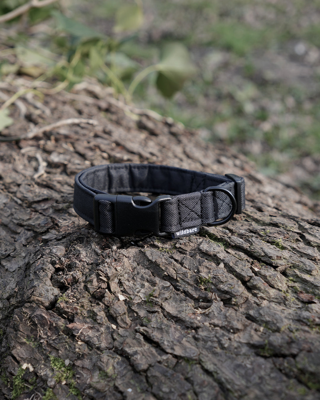 Black Dog Collar