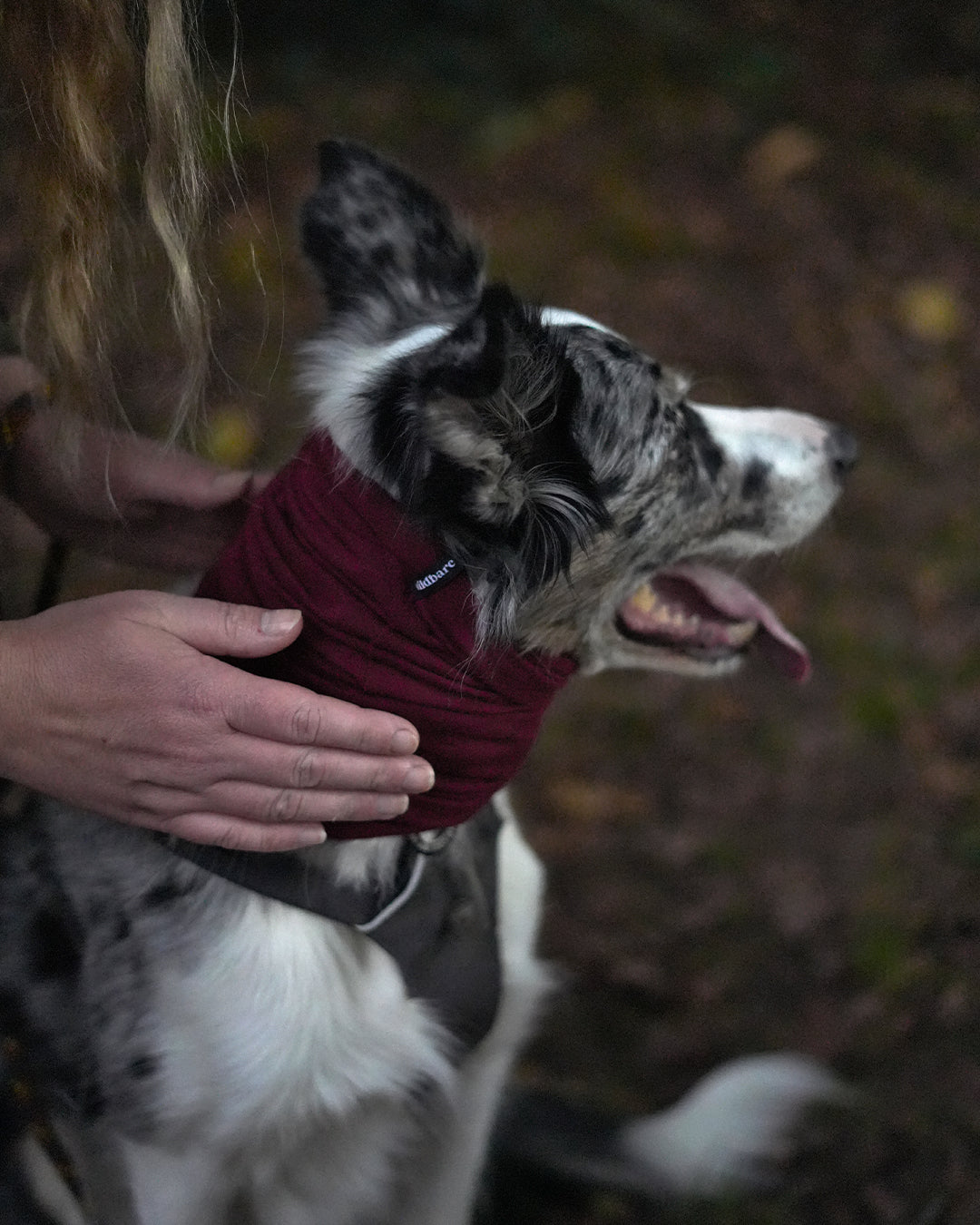 Burgundy Neck Snood