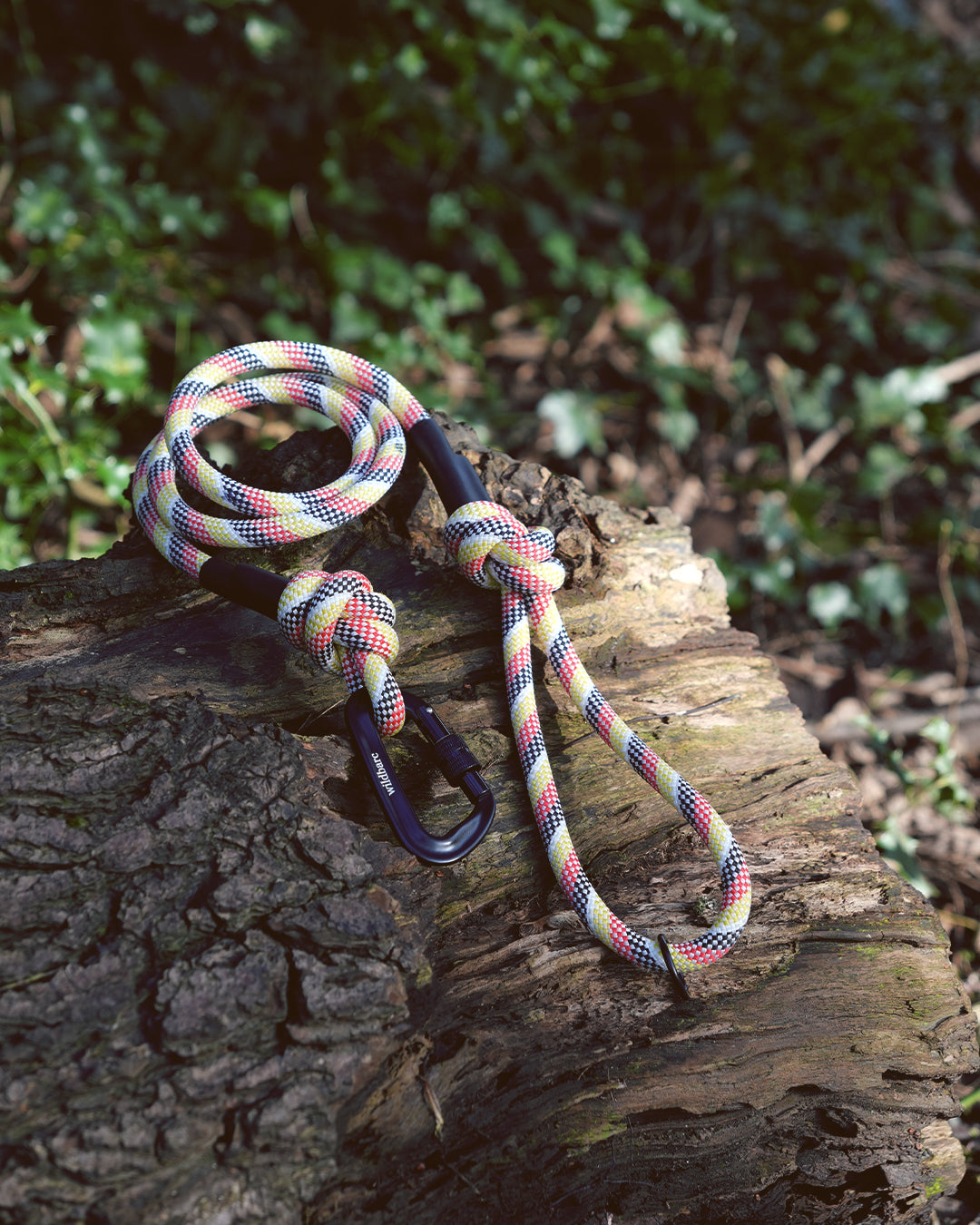 Cellan: Recycled Dog Lead