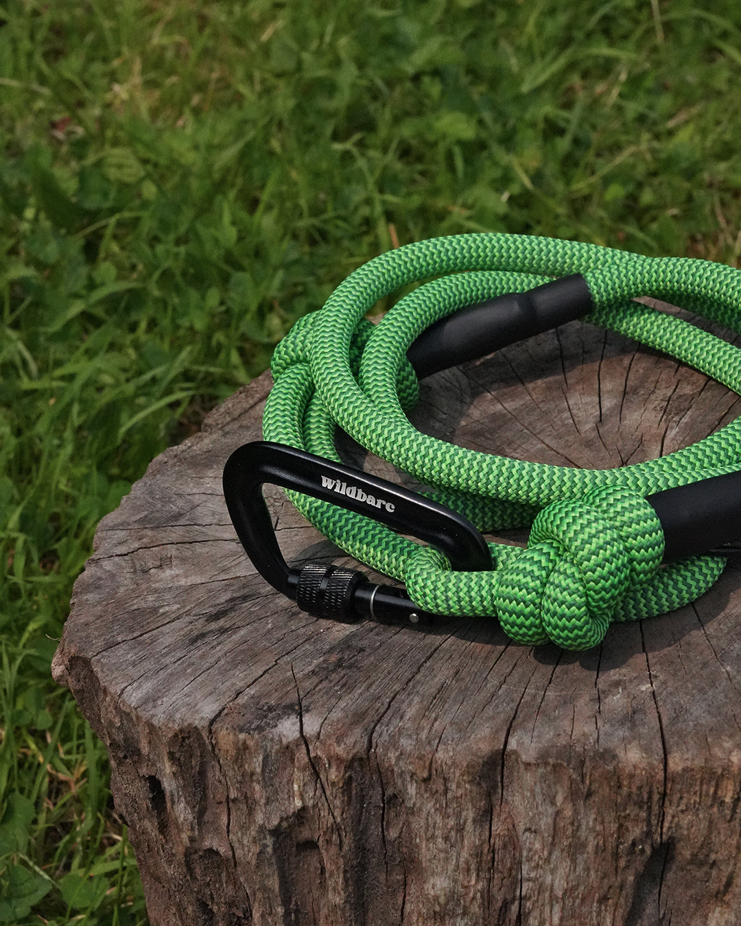 Chirk: Recycled Dog Lead