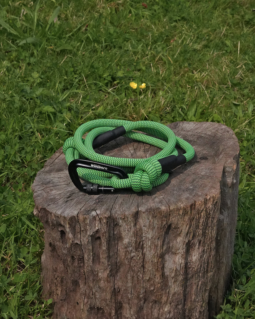 Chirk: Recycled Dog Lead