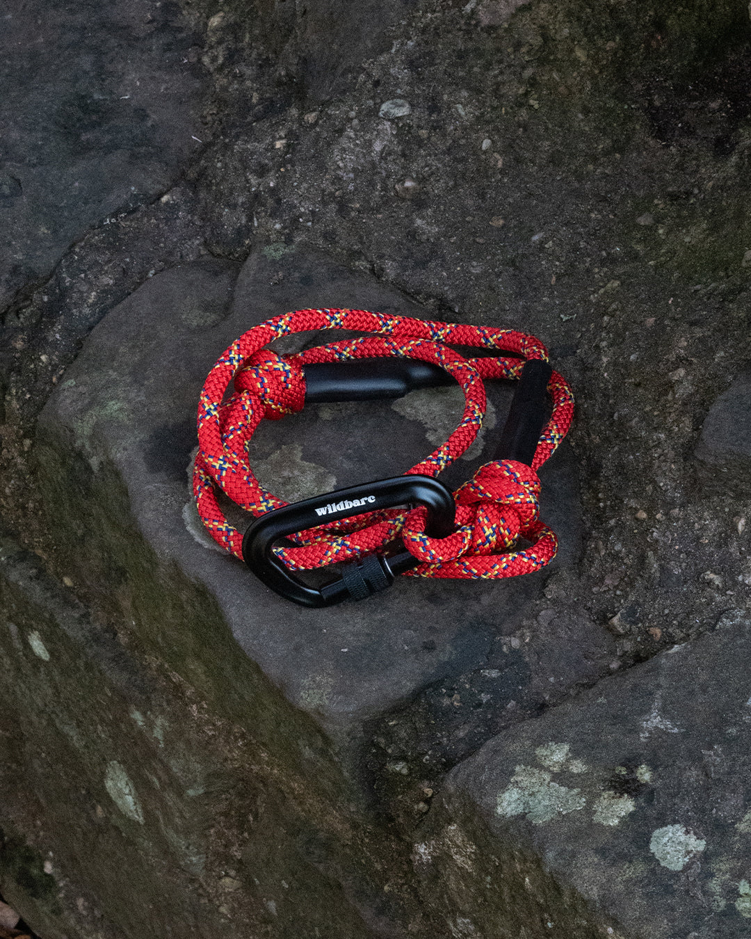 Dwynwen: Recycled Dog Lead