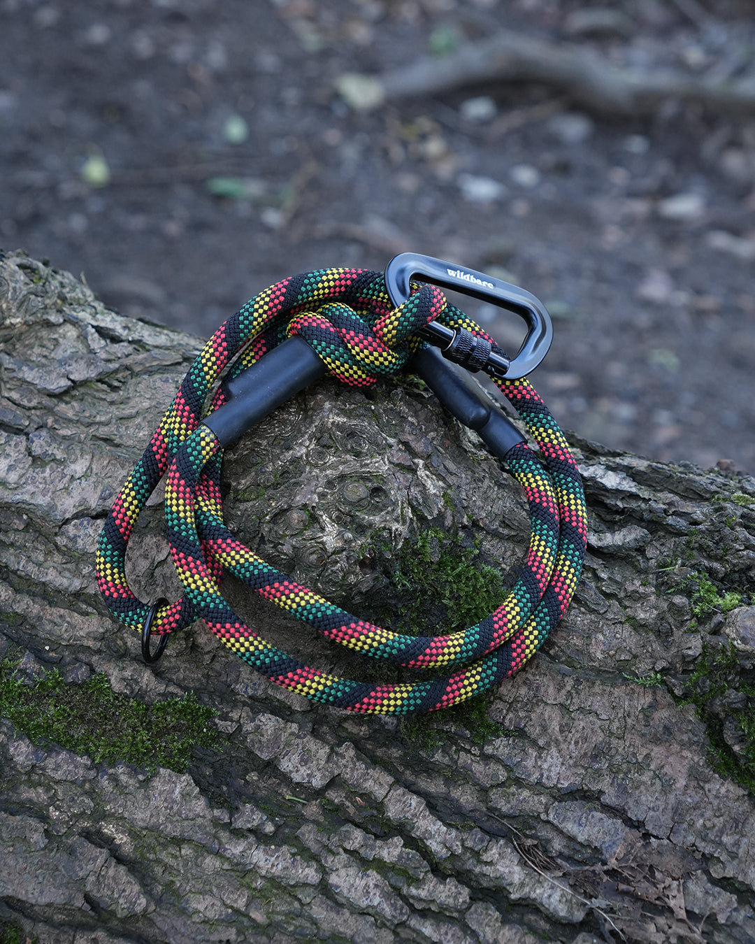 Glasgwm: Recycled Dog Lead