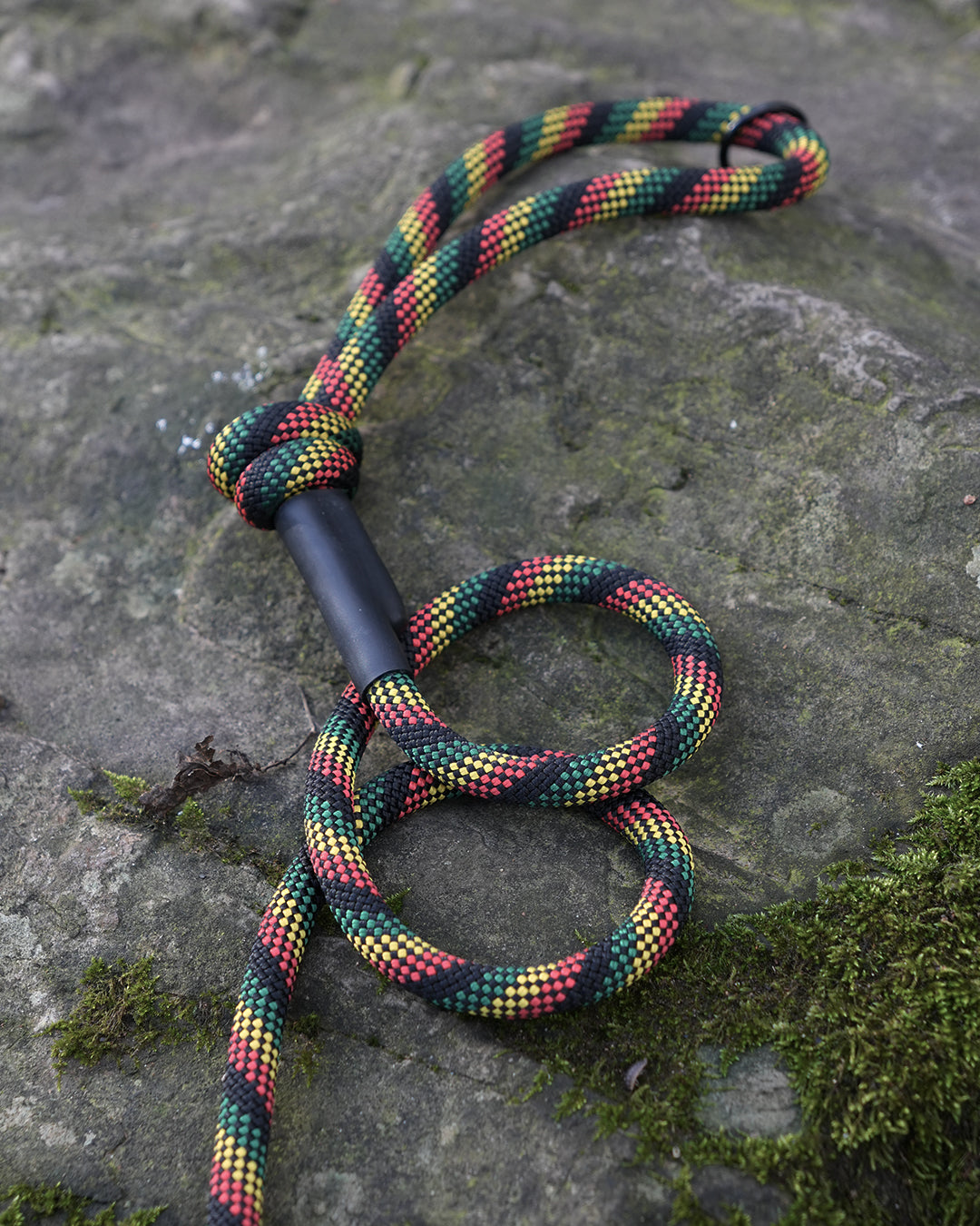 Glasgwm: Recycled Dog Lead