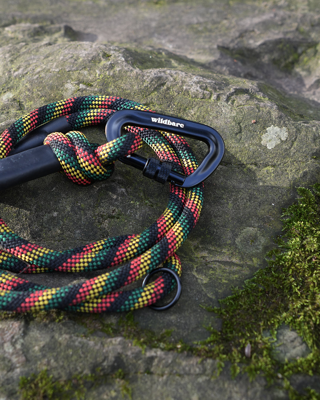 Glasgwm: Recycled Dog Lead