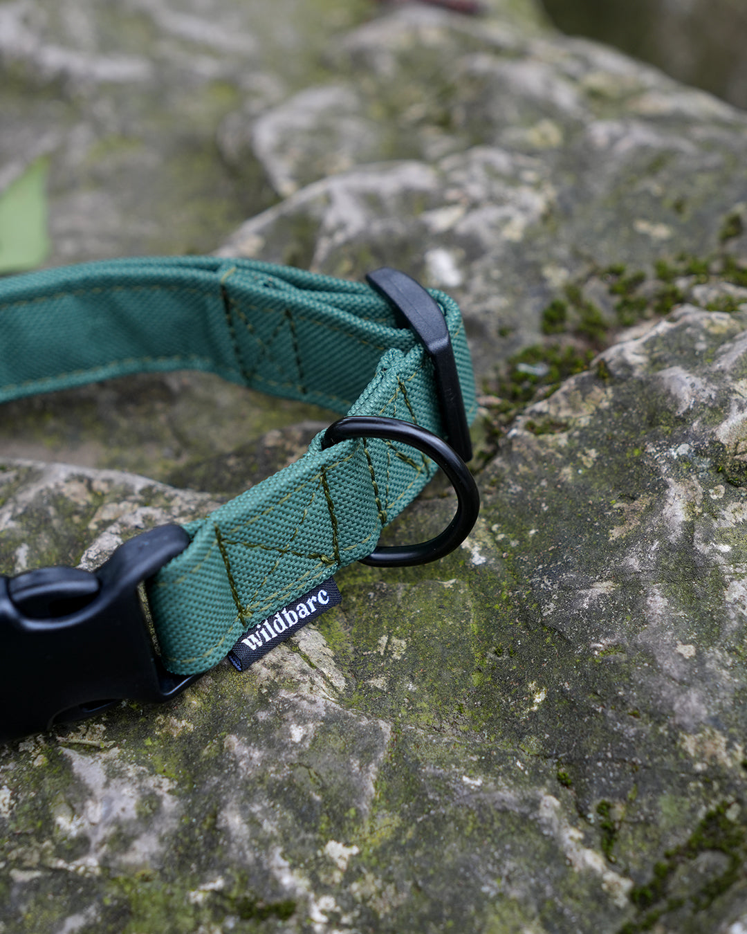 Green Canvas Collar