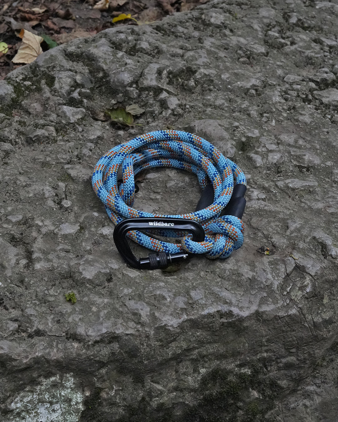 Holywell: Recycled Dog Lead