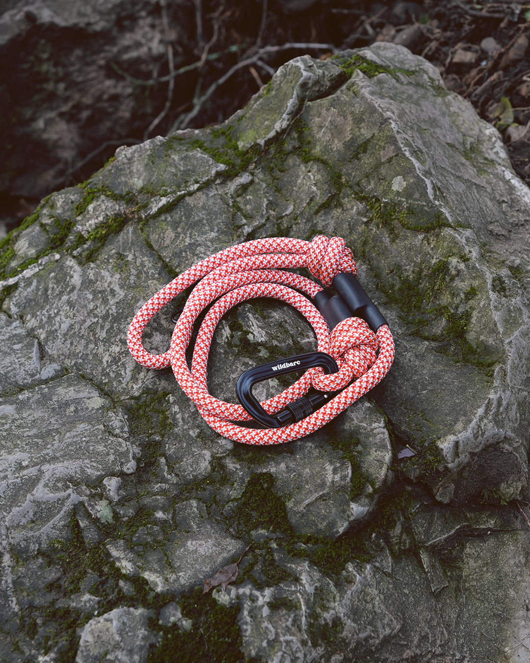 Llanddwyn: Recycled Dog Lead