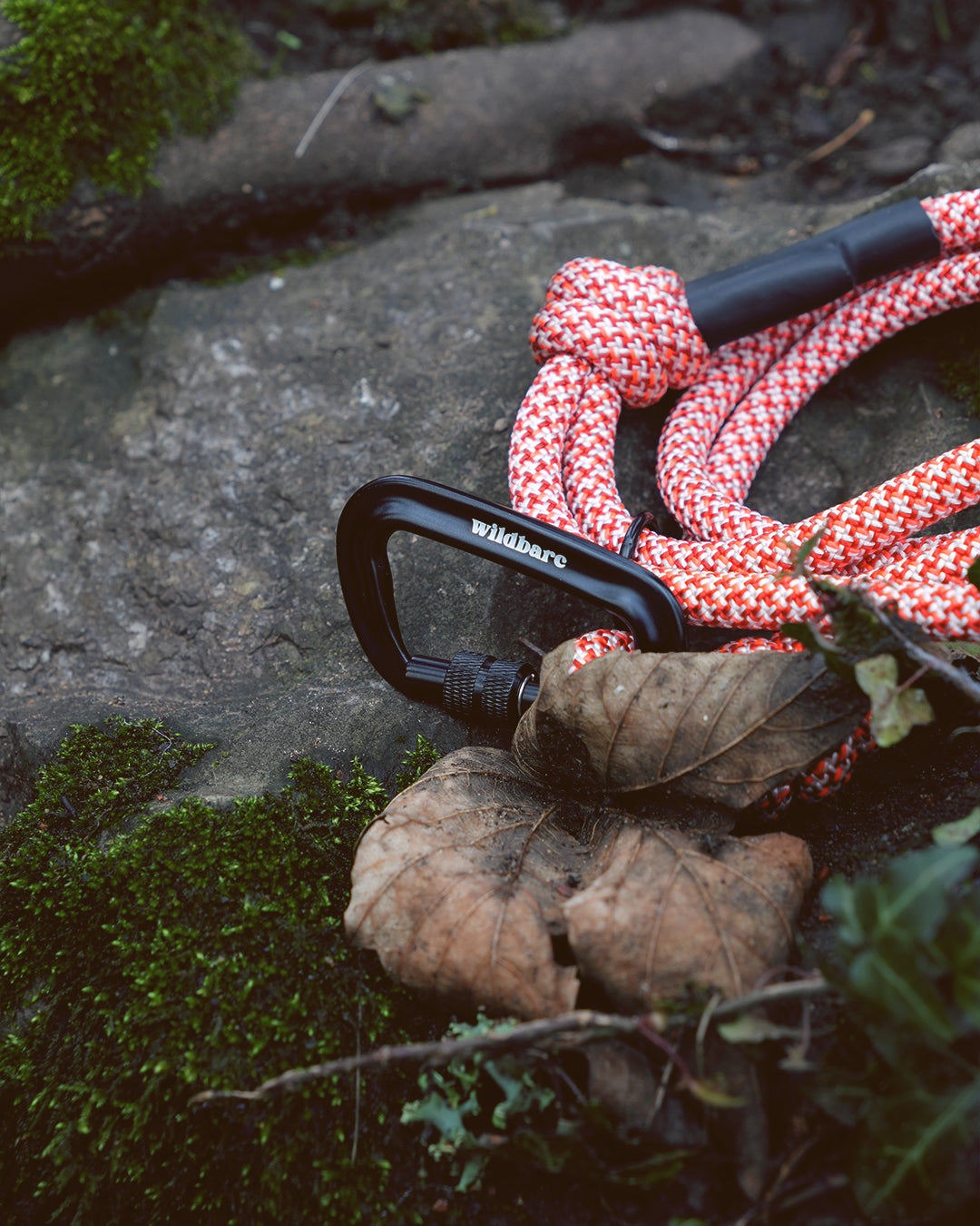 Llanddwyn: Recycled Dog Lead