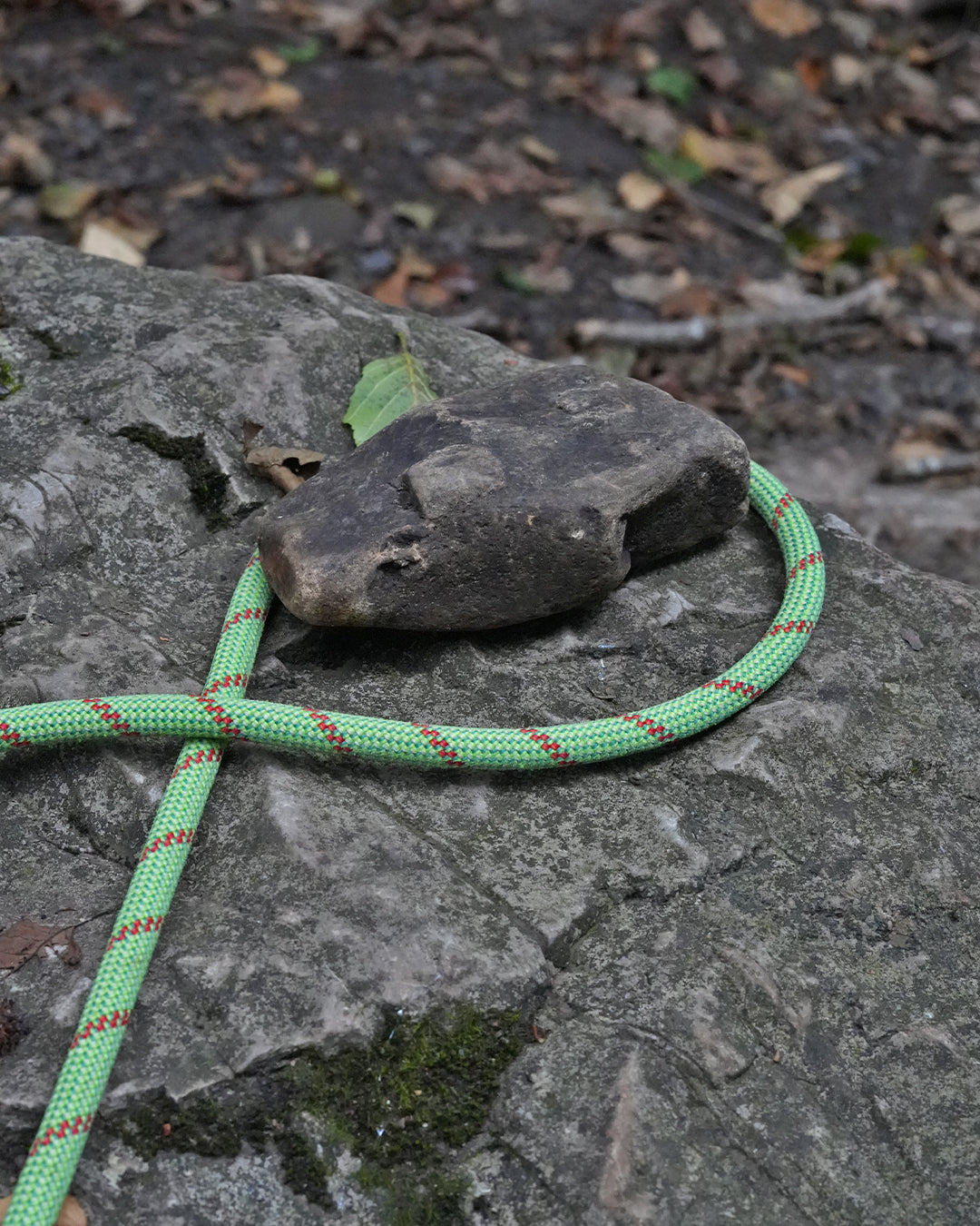 Llangefni: Recycled Dog Lead