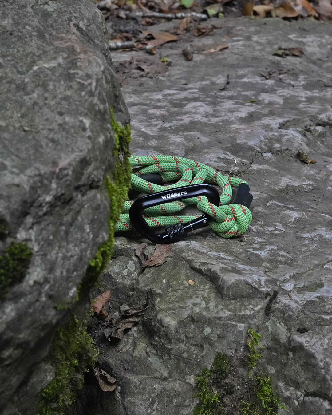 Llangefni: Recycled Dog Lead