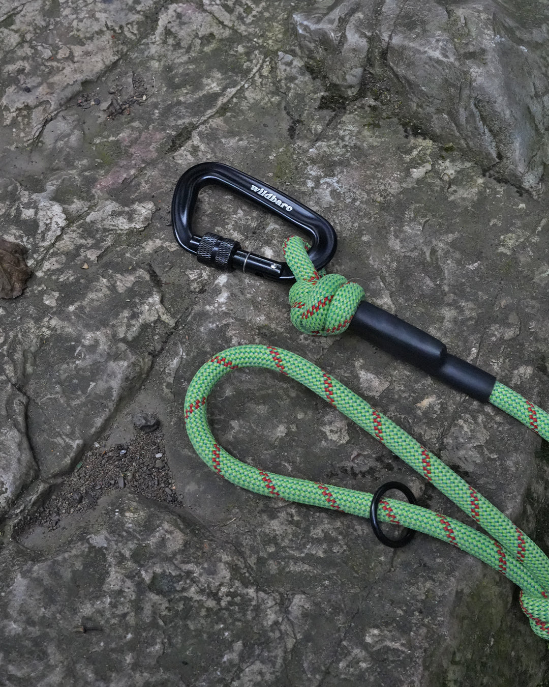 Llangefni: Recycled Dog Lead