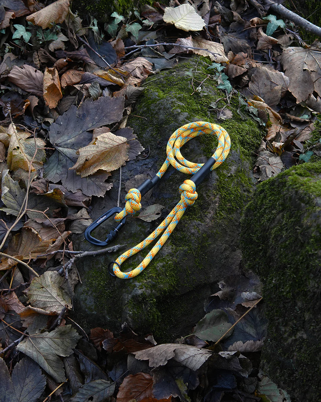 Machen: Recycled Dog Lead