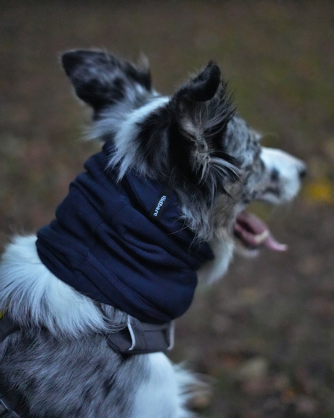 Navy Neck Snood