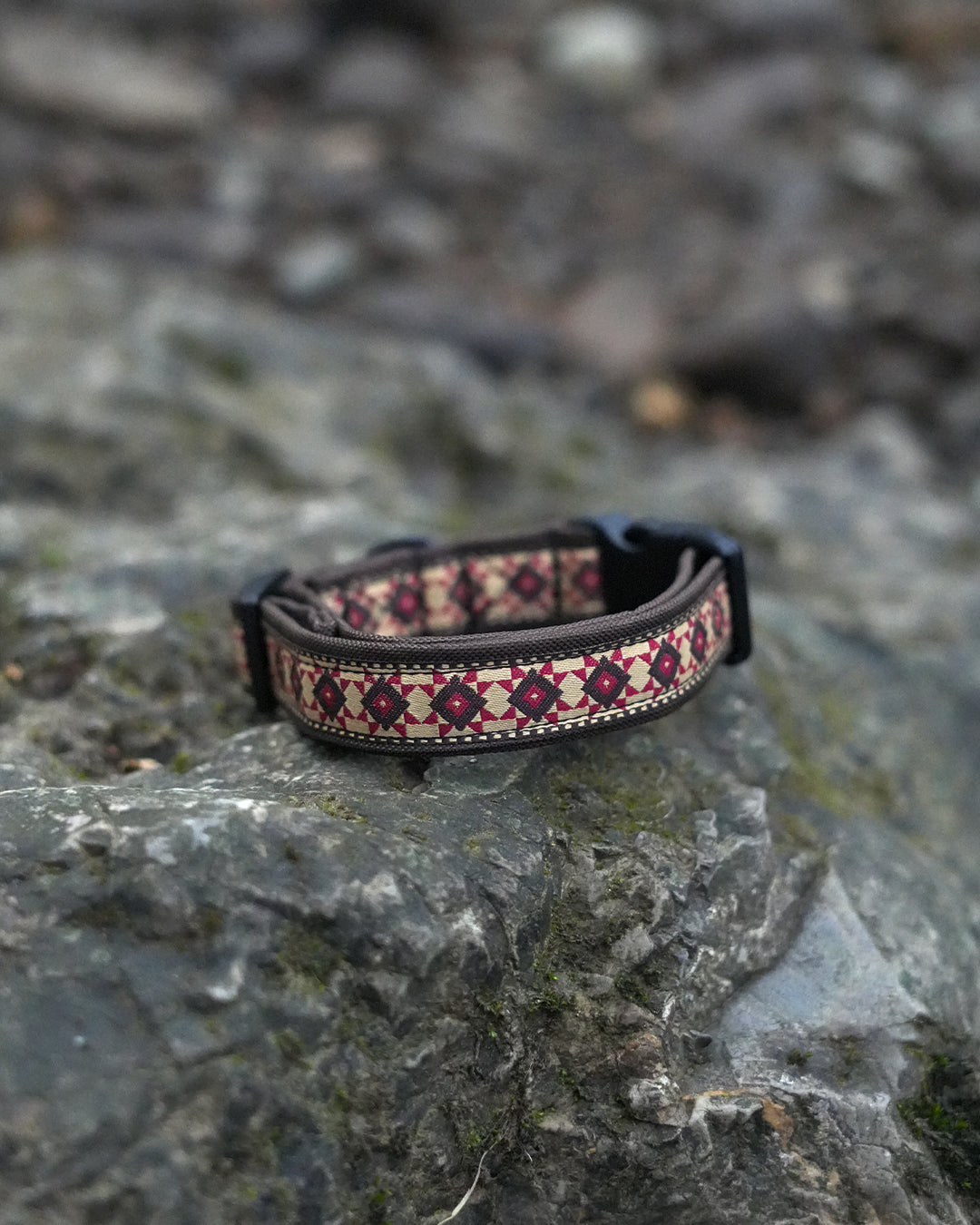 Medium: Offcuts Dog Collar 26