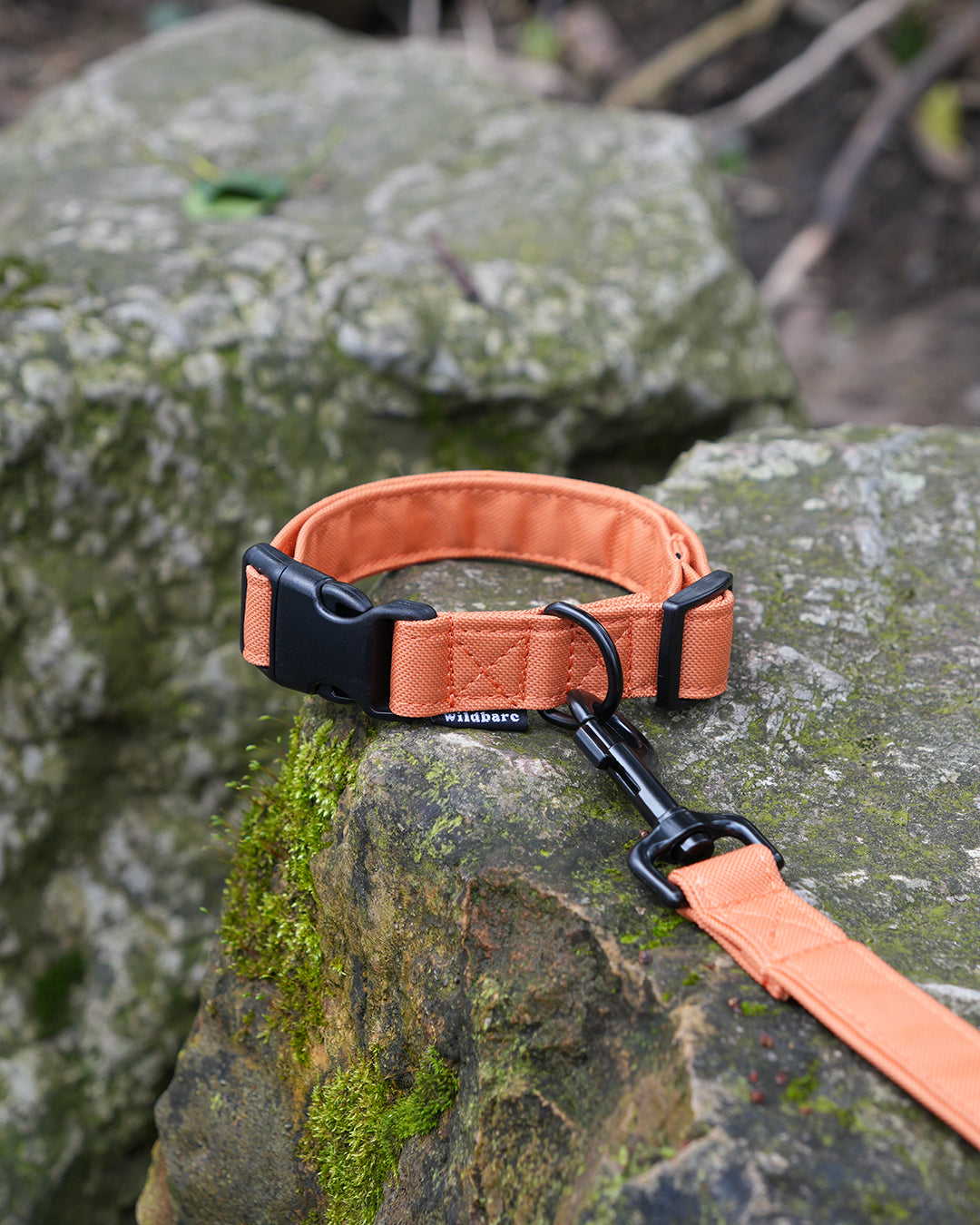 Orange Canvas Collar