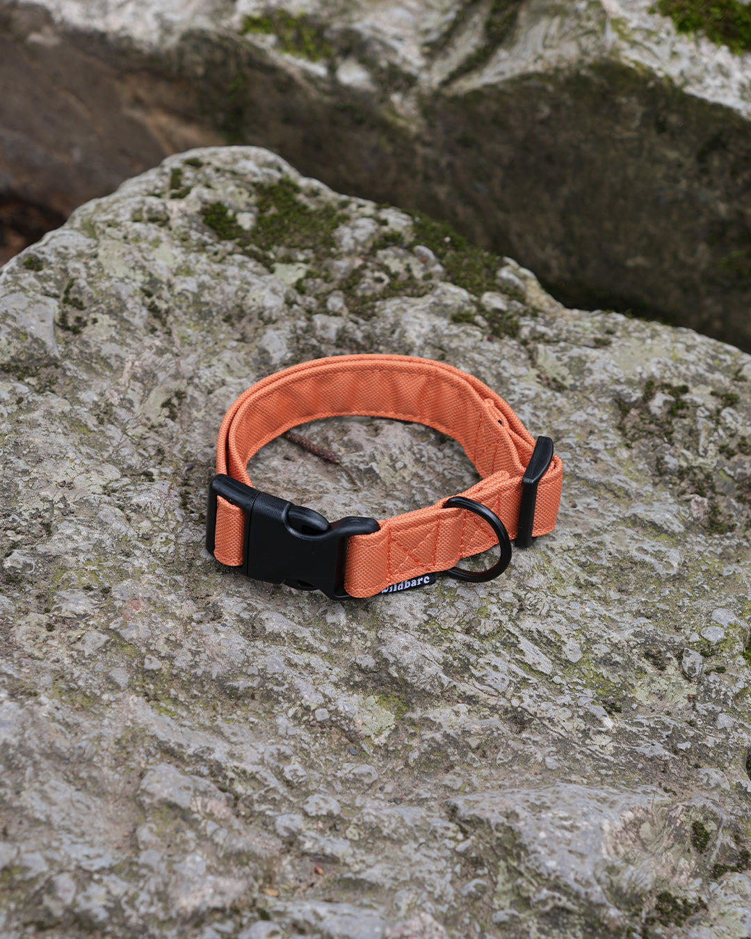 Orange Canvas Collar