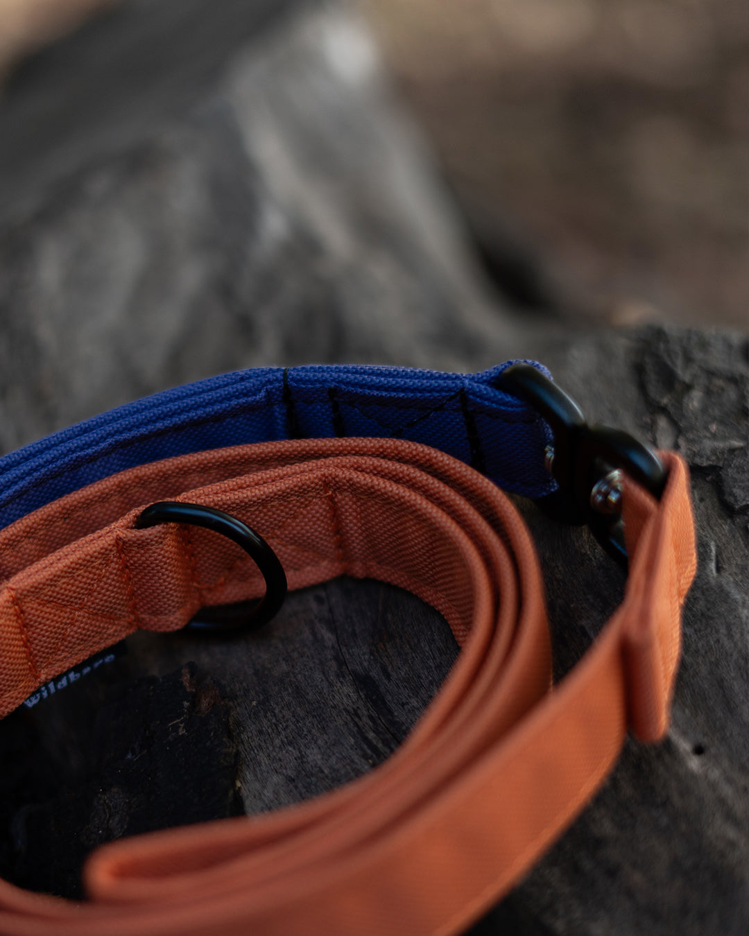 Orange & Purple Dual Traffic Handle Dog Lead