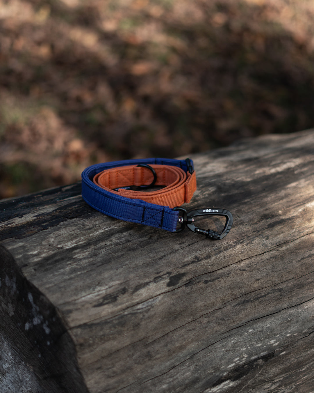 Orange & Purple Dual Traffic Handle Dog Lead