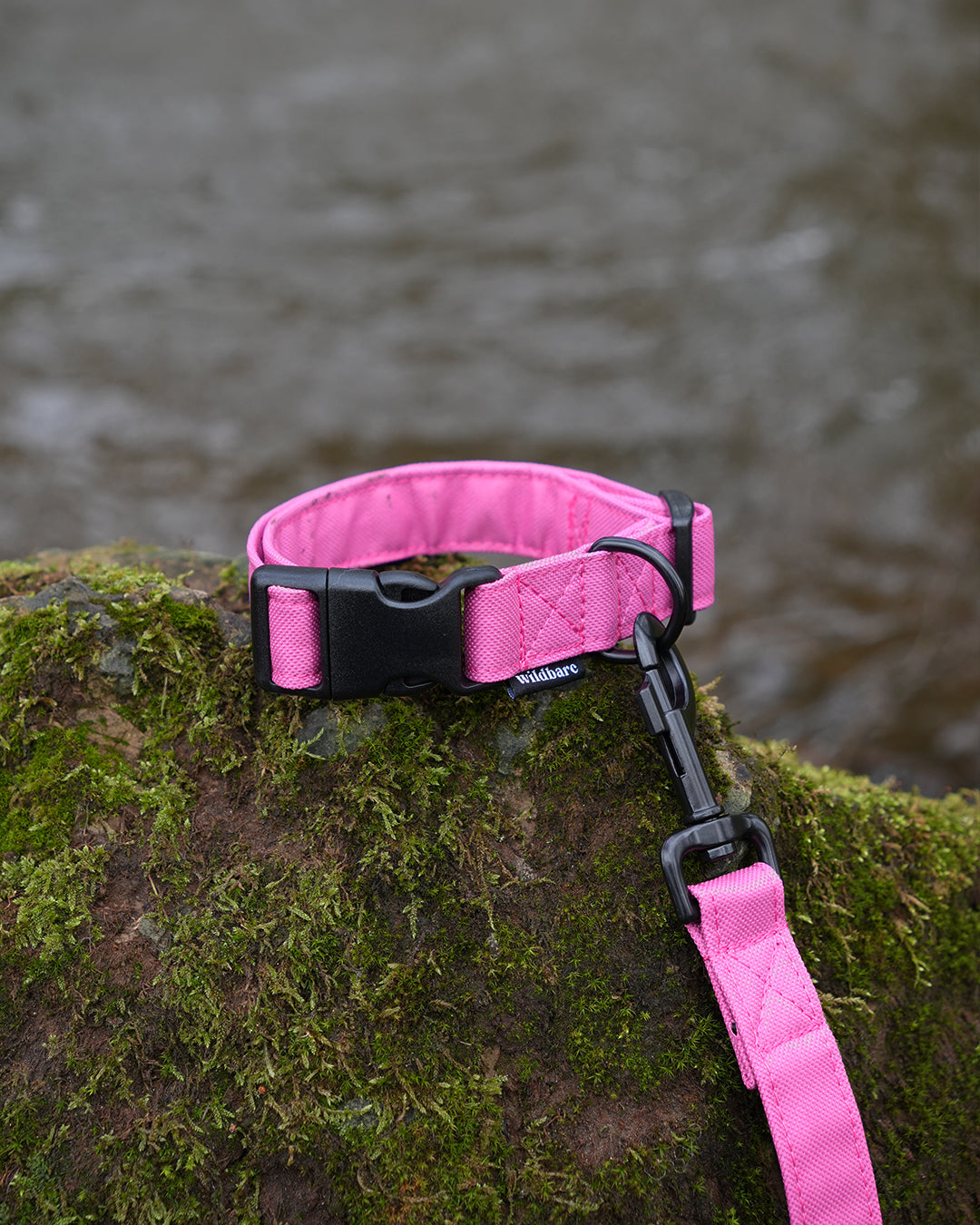 Pink Canvas Collar