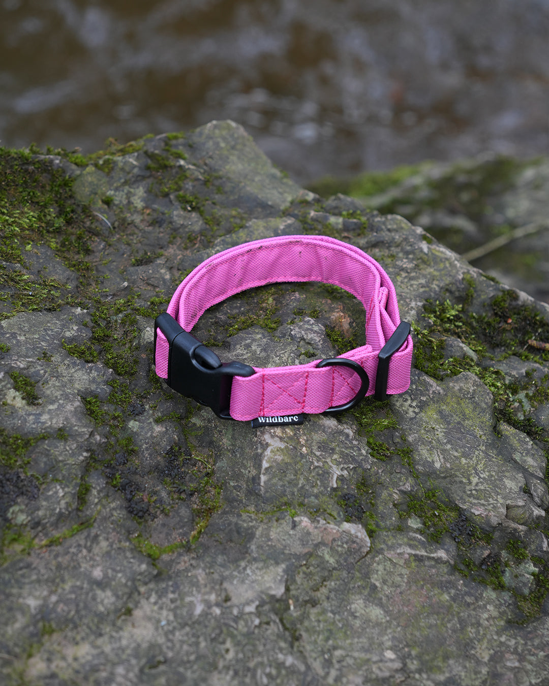 Pink Canvas Collar