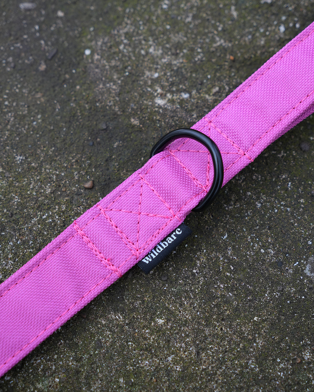 Pink Canvas Lead