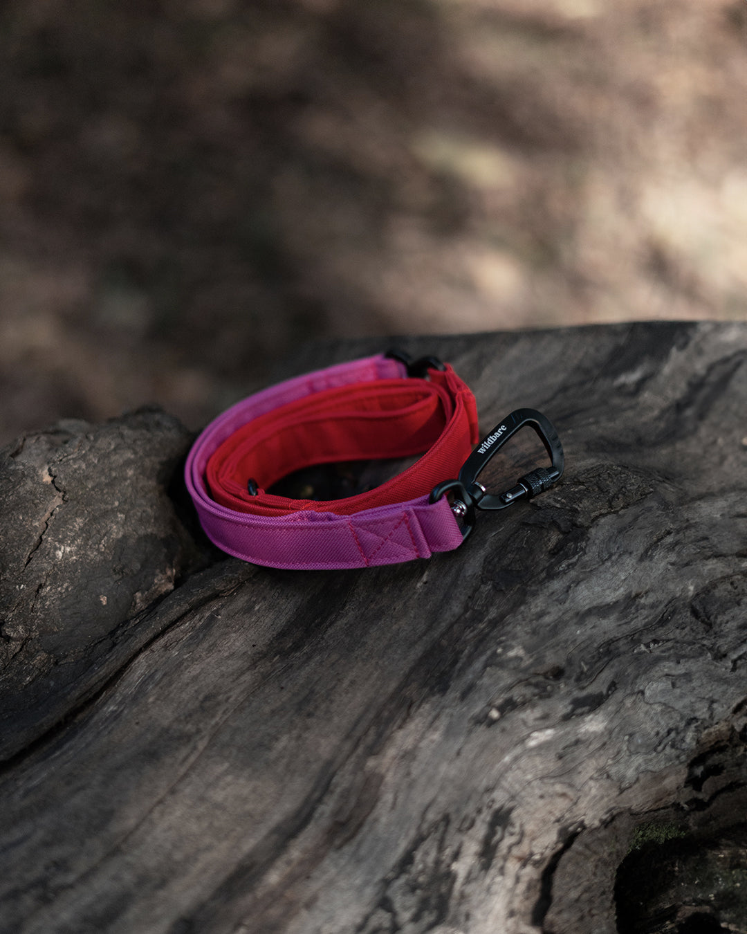 Red & Pink Dual Traffic Handle Dog Lead