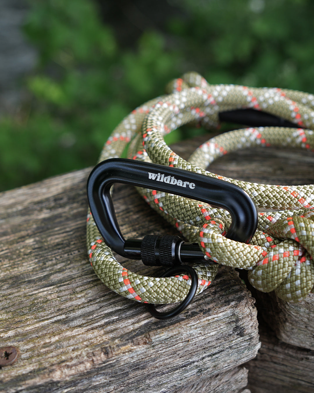 Suilven: Recycled Dog Lead