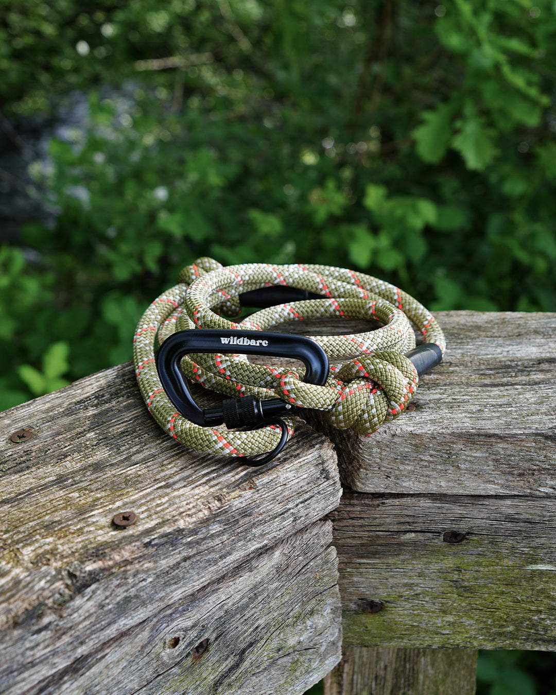 Suilven: Recycled Dog Lead