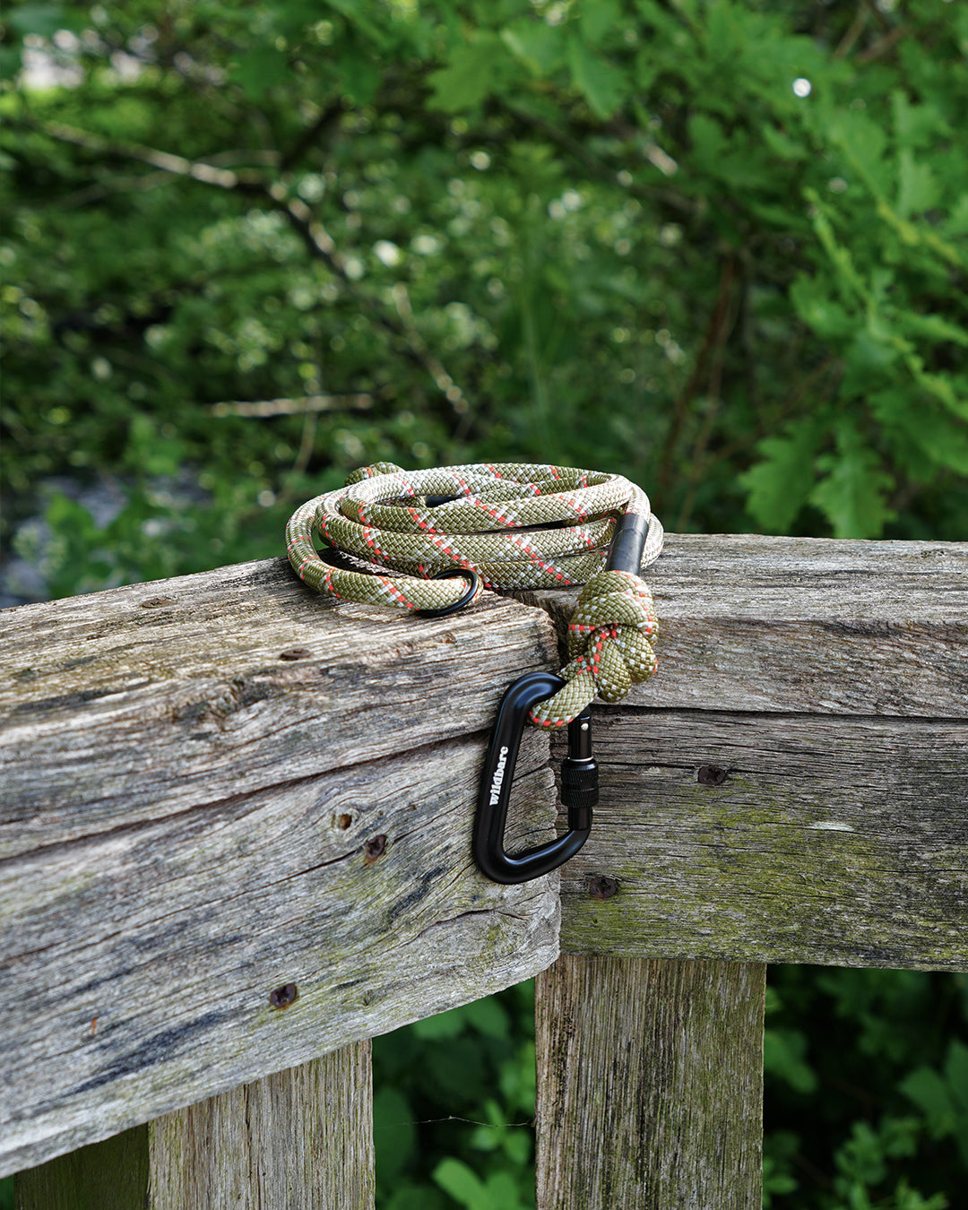 Suilven: Recycled Dog Lead