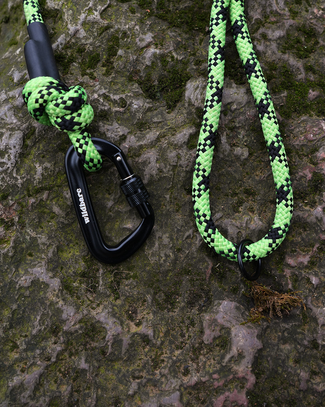 Talybont: Recycled Dog Lead