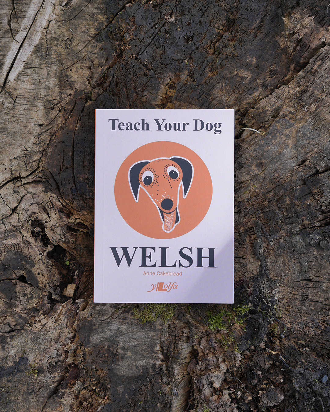 Teach Your Dog Welsh