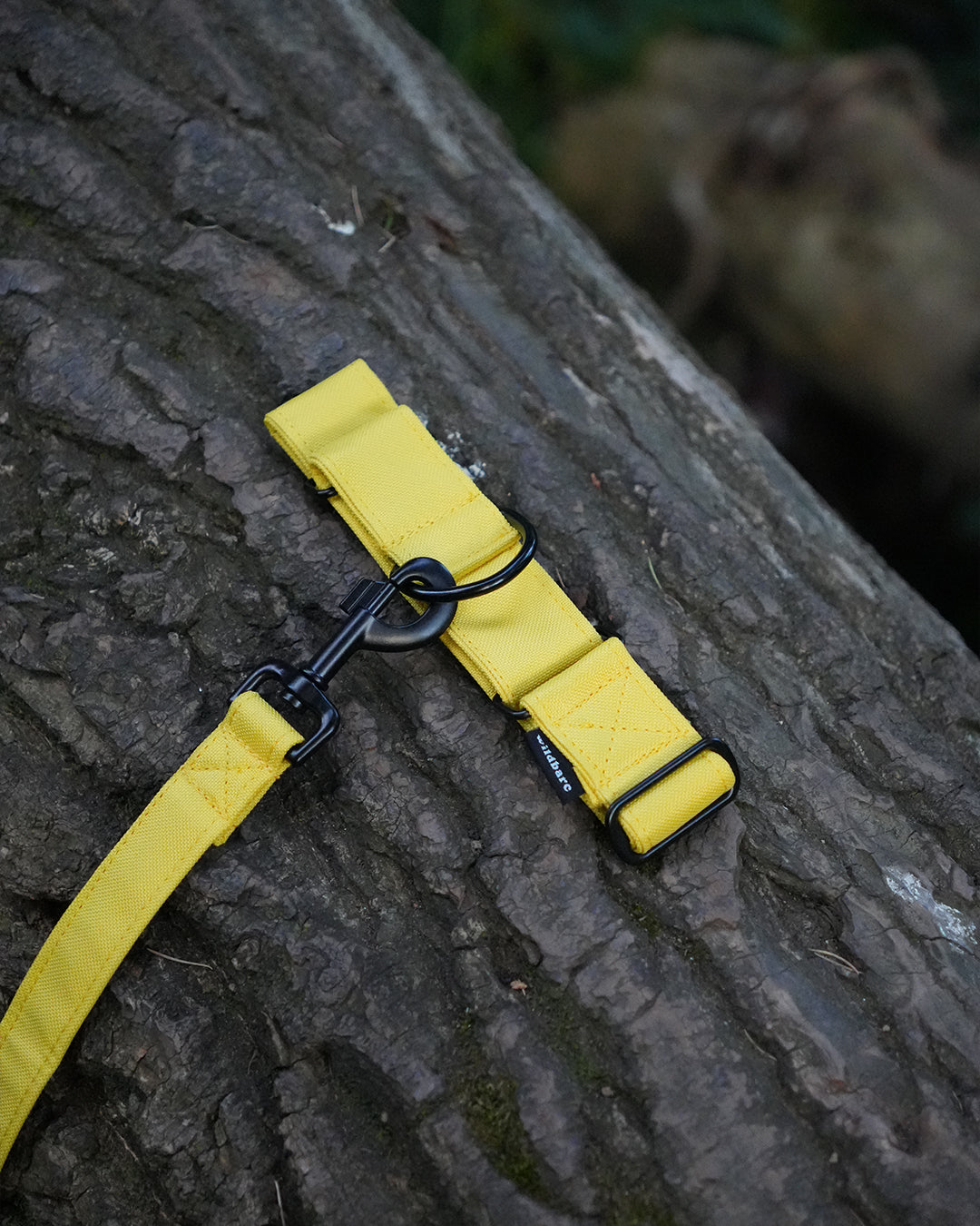 Yellow Martingale Dog Collar