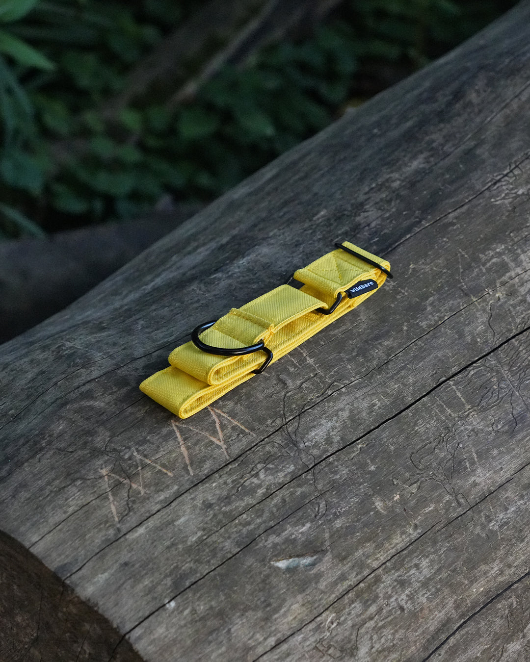 Yellow Martingale Dog Collar