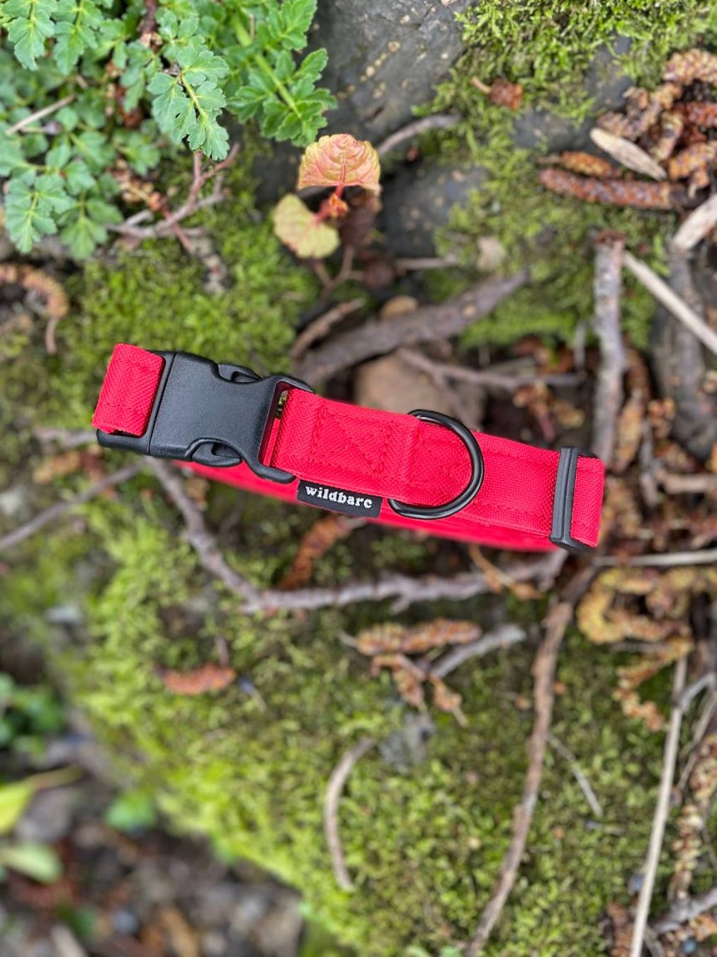 Red Canvas Collar