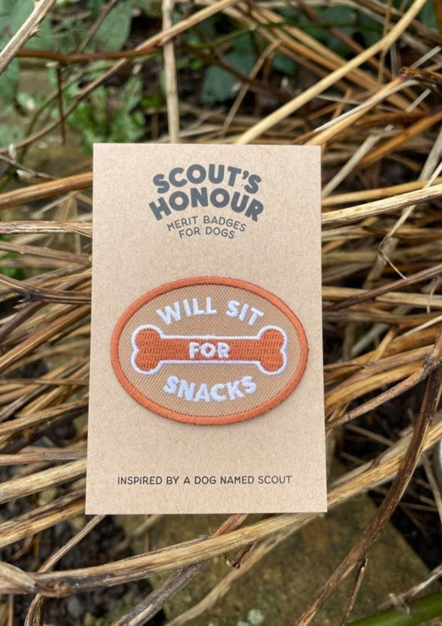 Scout's Honour Will Sit For Snacks Patch