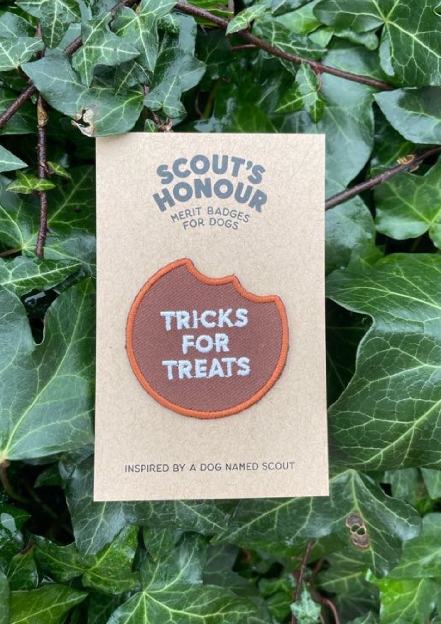 Scout's Honour Tricks for Treats Patch