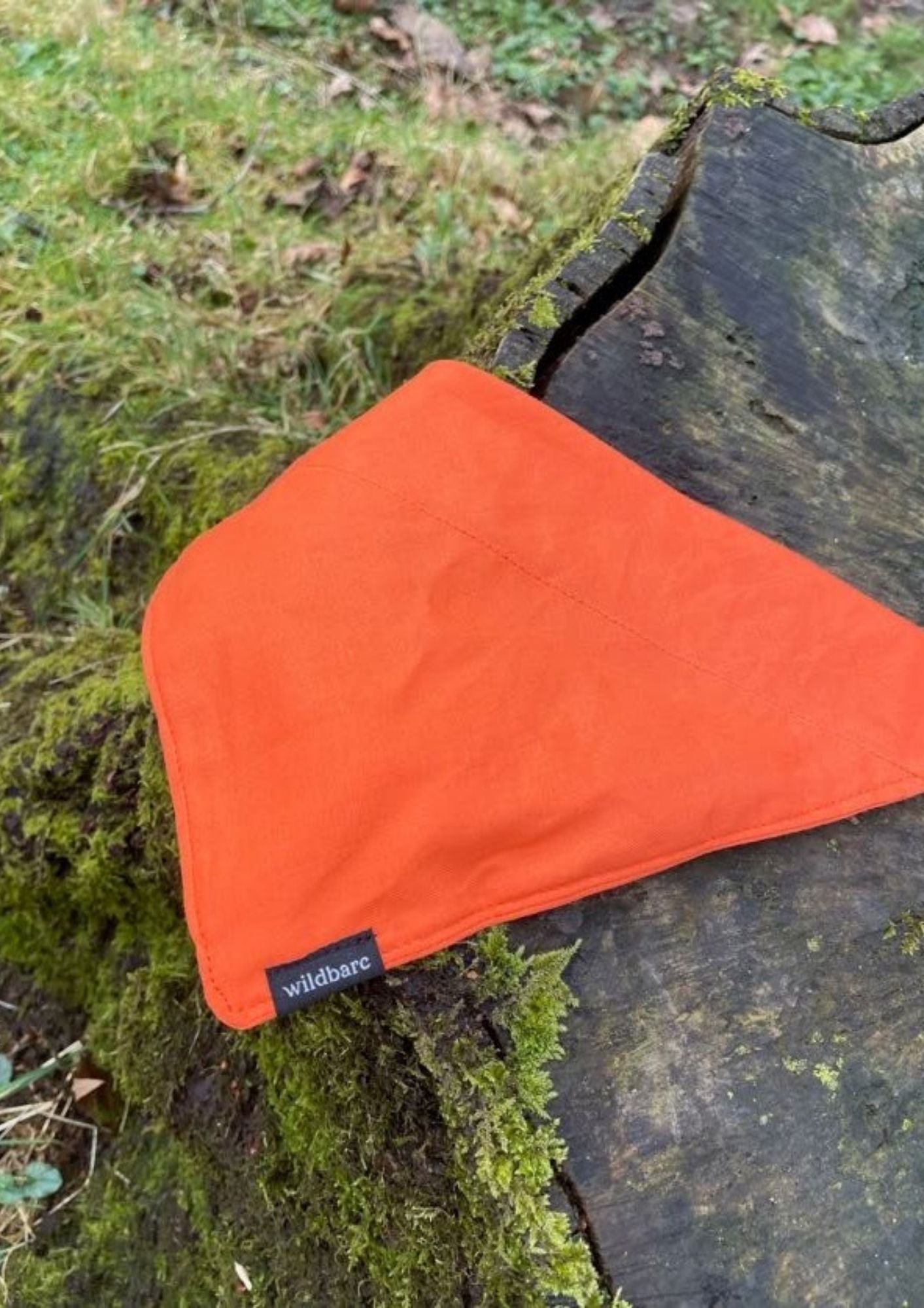 Bright Orange Bandana