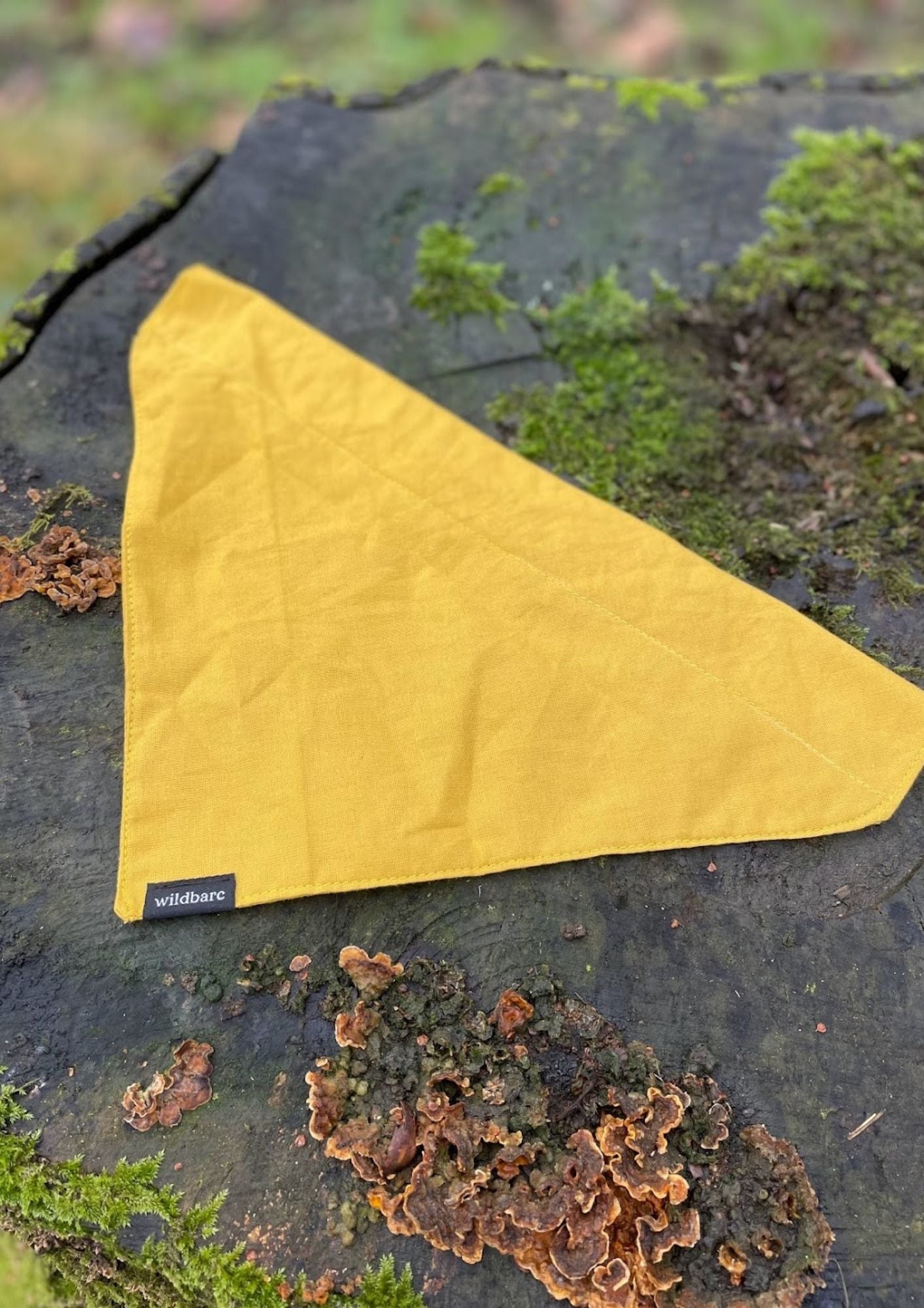 Mustard Bandana