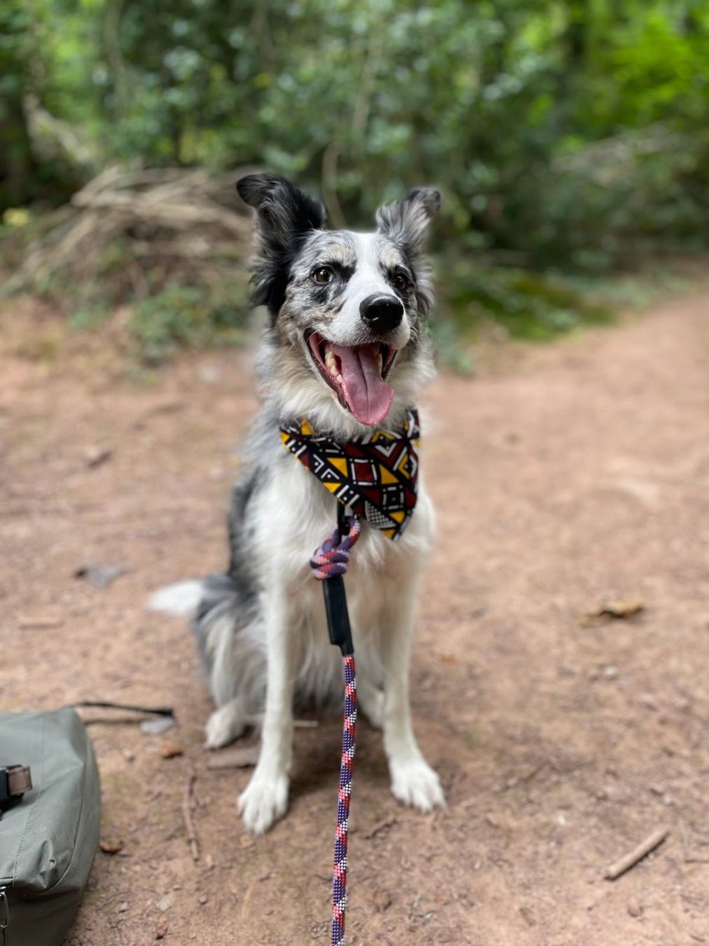 Tribal Bandana