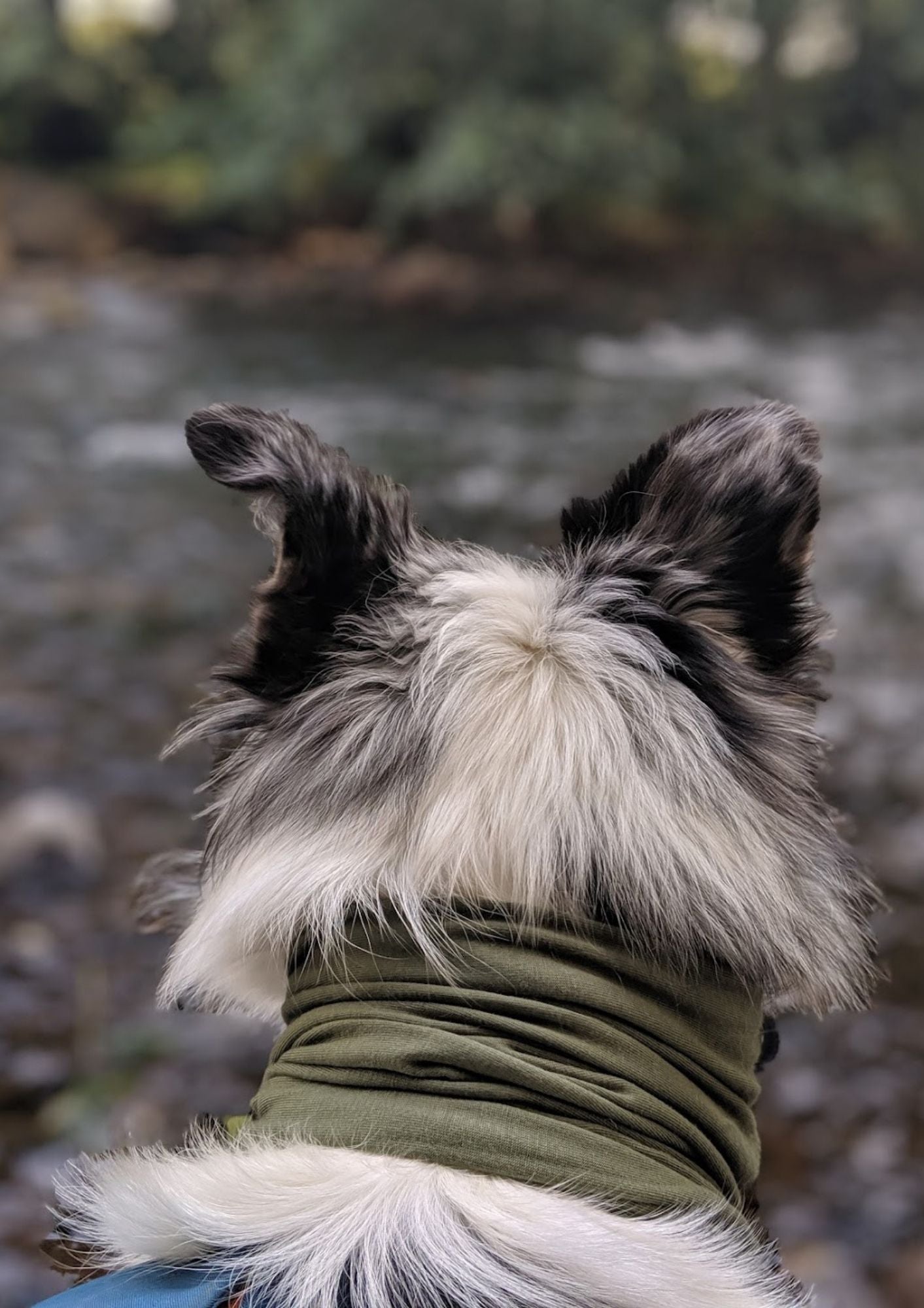 Khaki Neck Snood