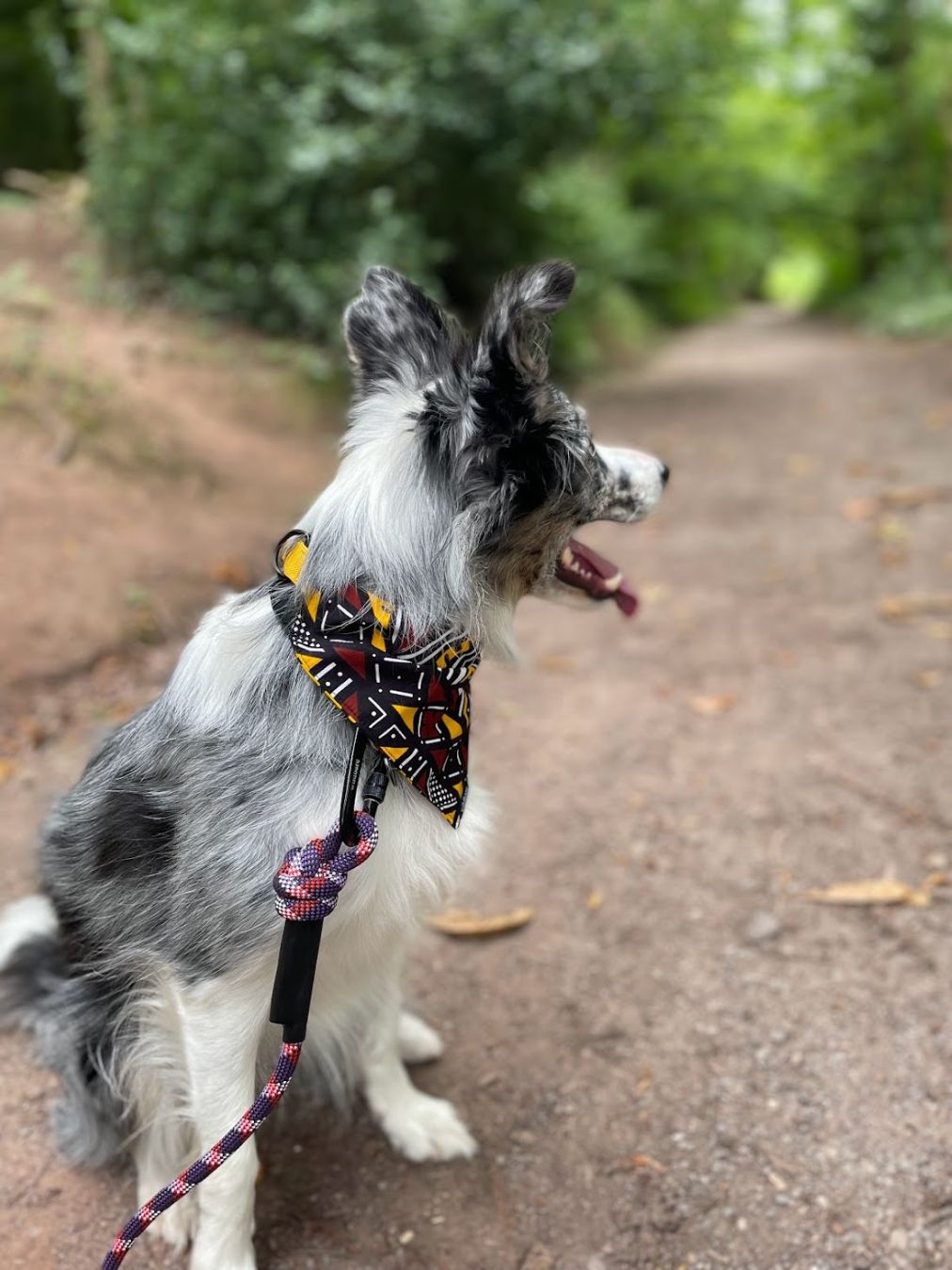 Tribal Bandana