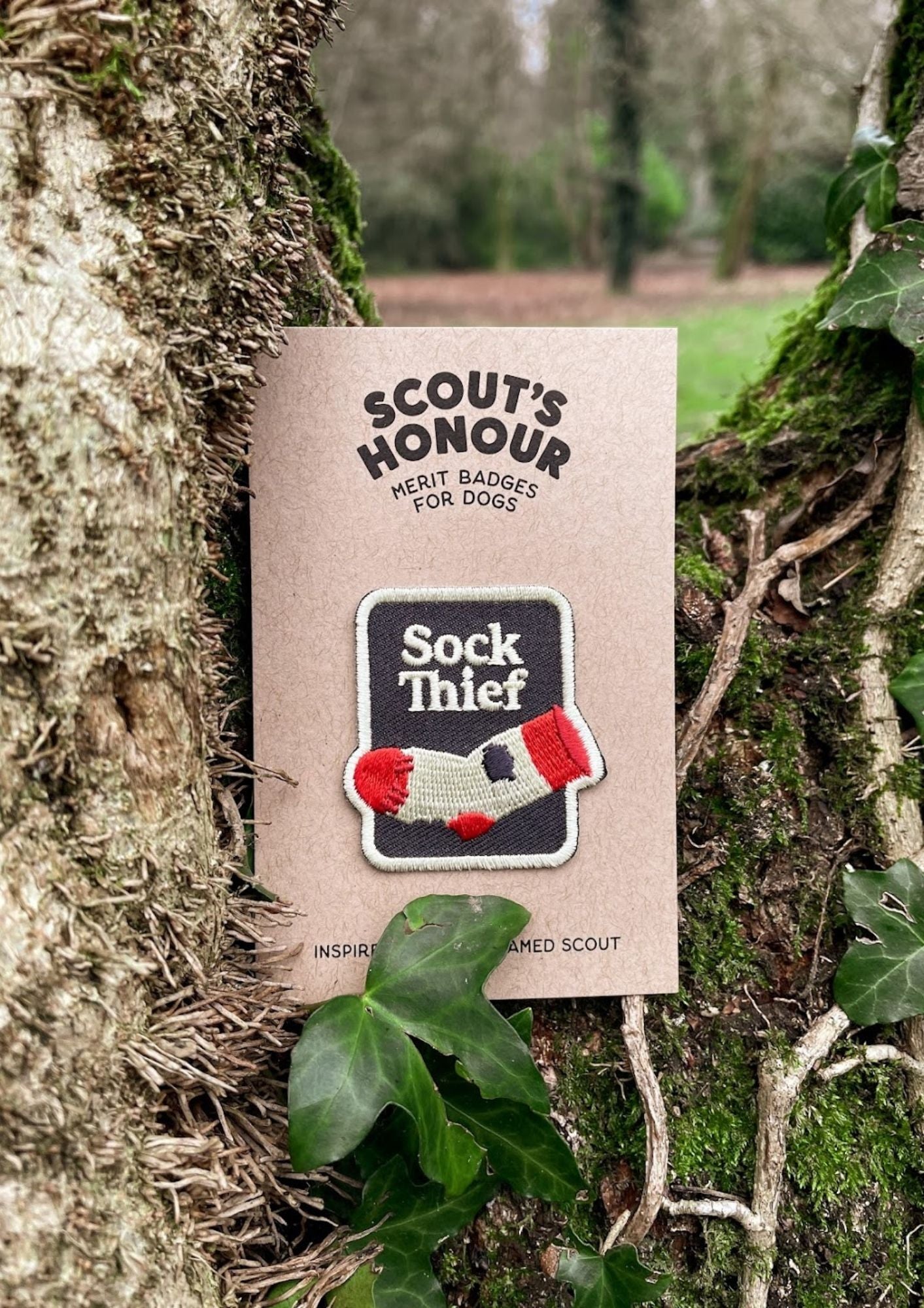 Scout's Honour Sock Thief Patch